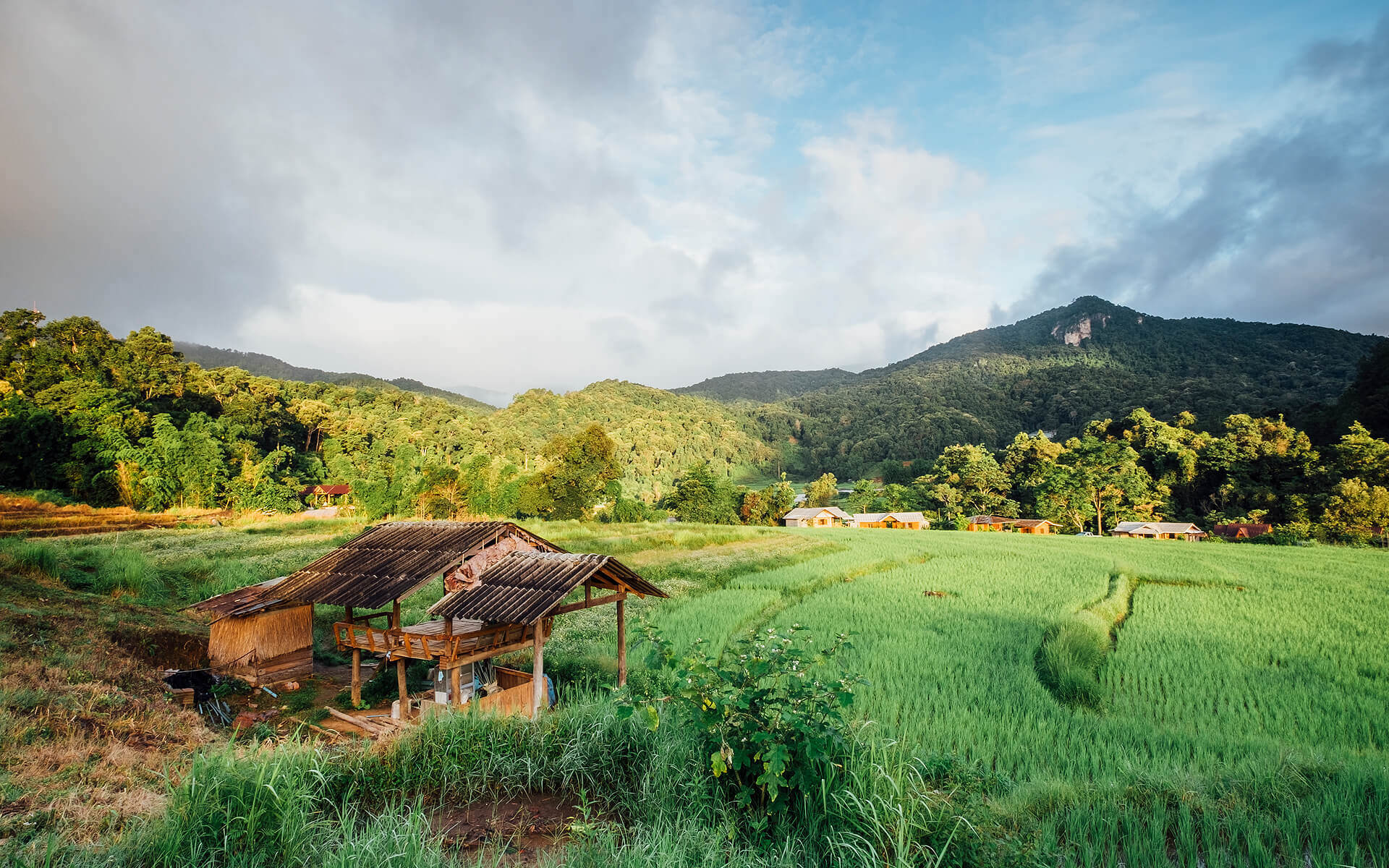 The Birth of U-Farm: Empowering Rural Agriculture