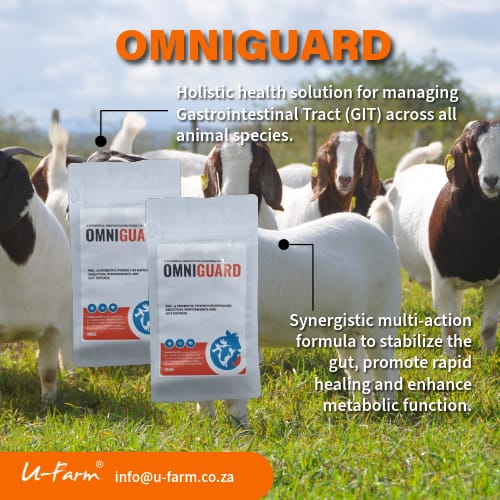 OmniGuard-Holistic